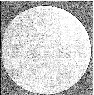 針狀聚集物，如圖1所示